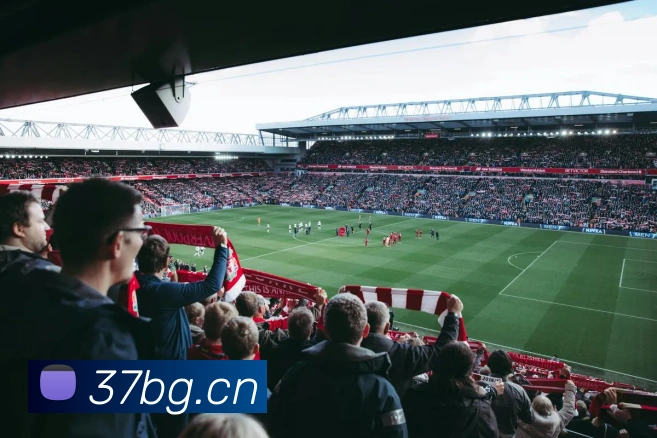 开云手机入口官网平台生态图