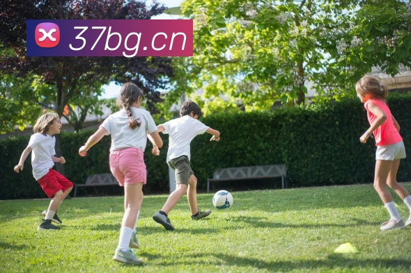 辅助工具 辅助工具